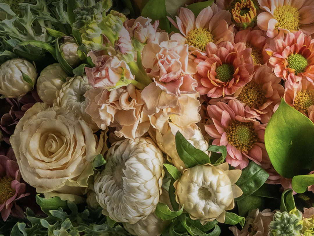 Bring Nature's Beauty Home Today