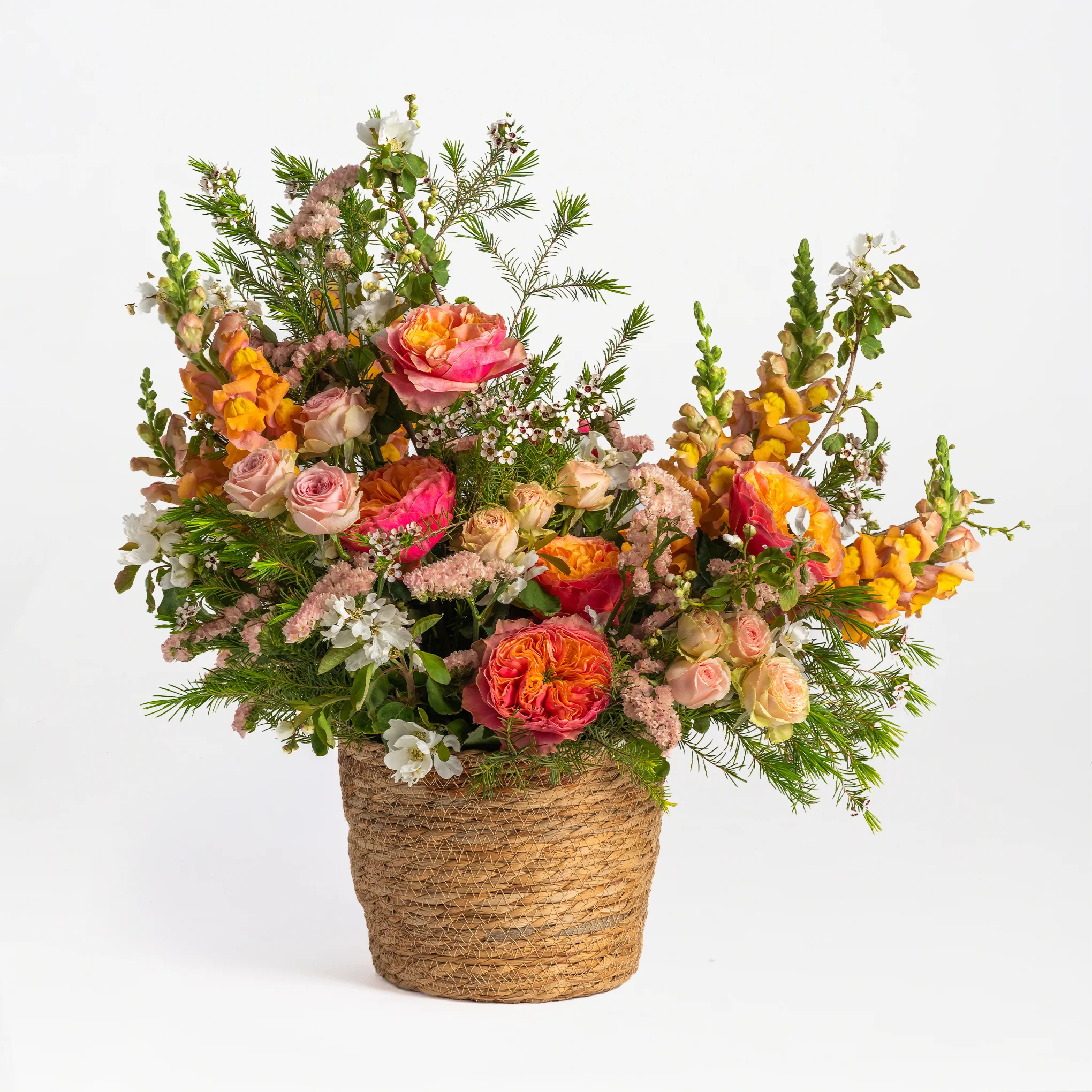 Blooming Stems