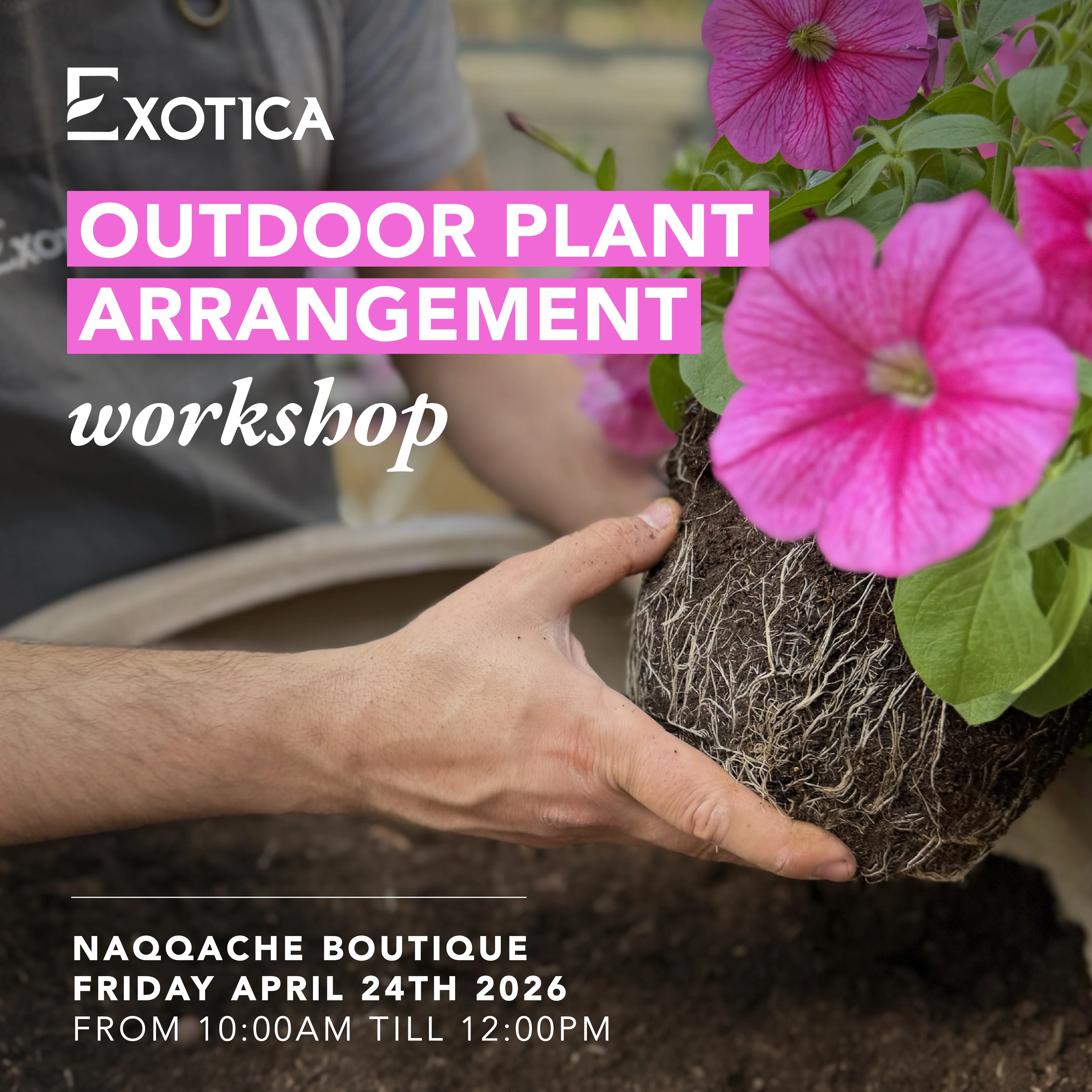 Flower and Plant Workshops in Lebanon – Exotica