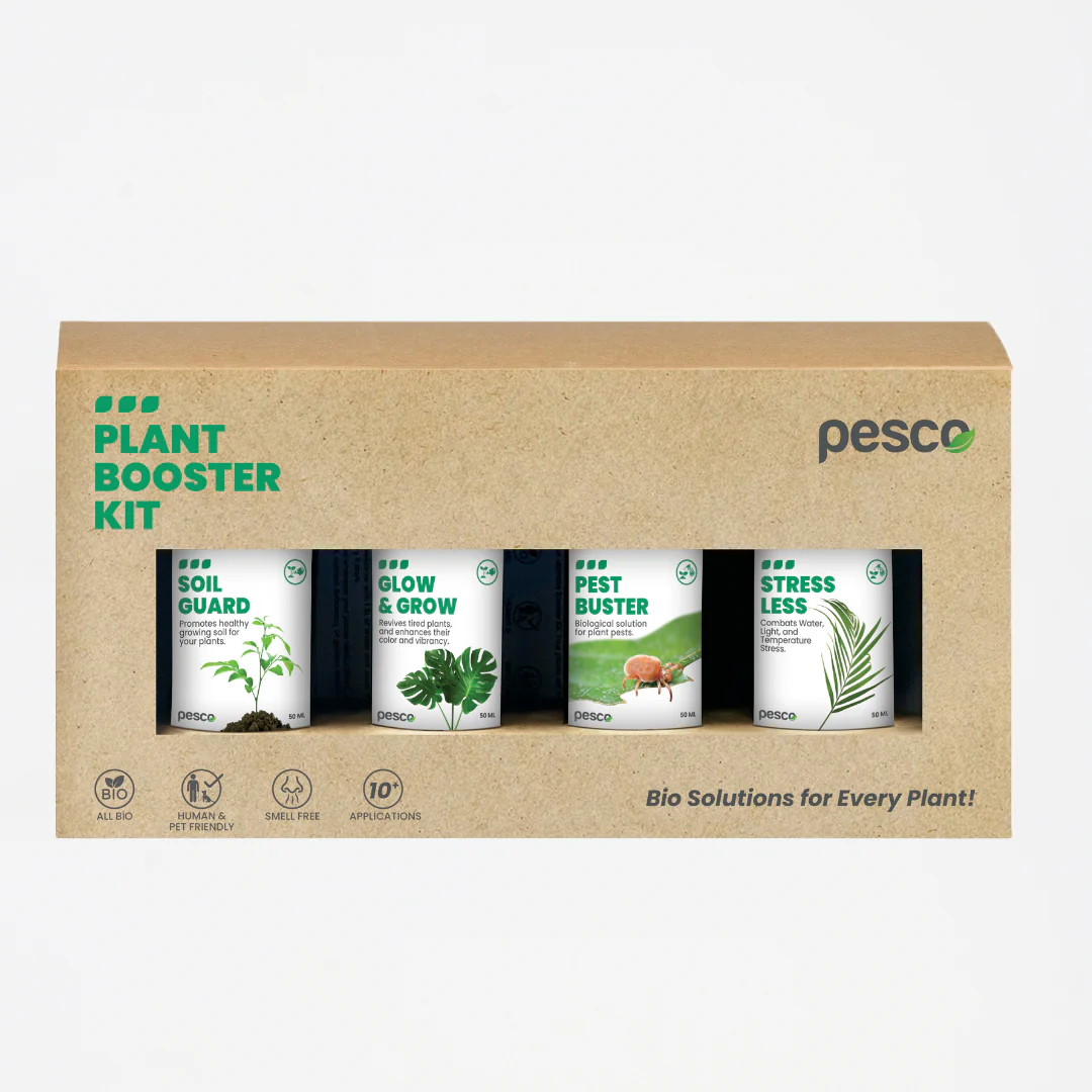 Plant Care