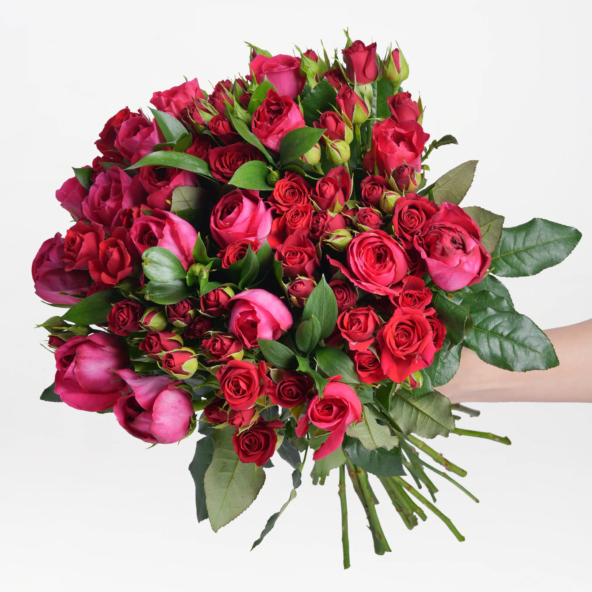 Rose Prestige
