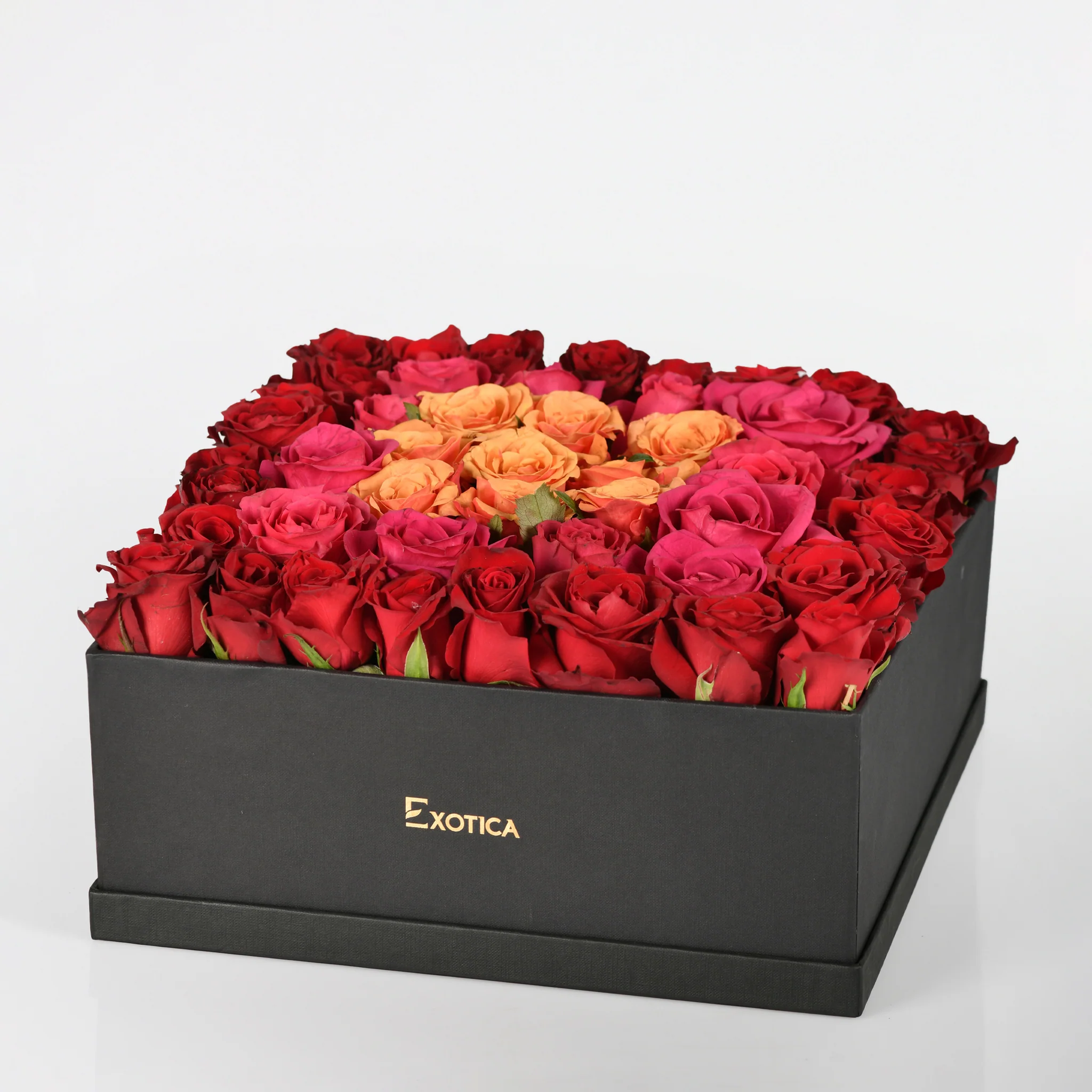 Splendid Roses